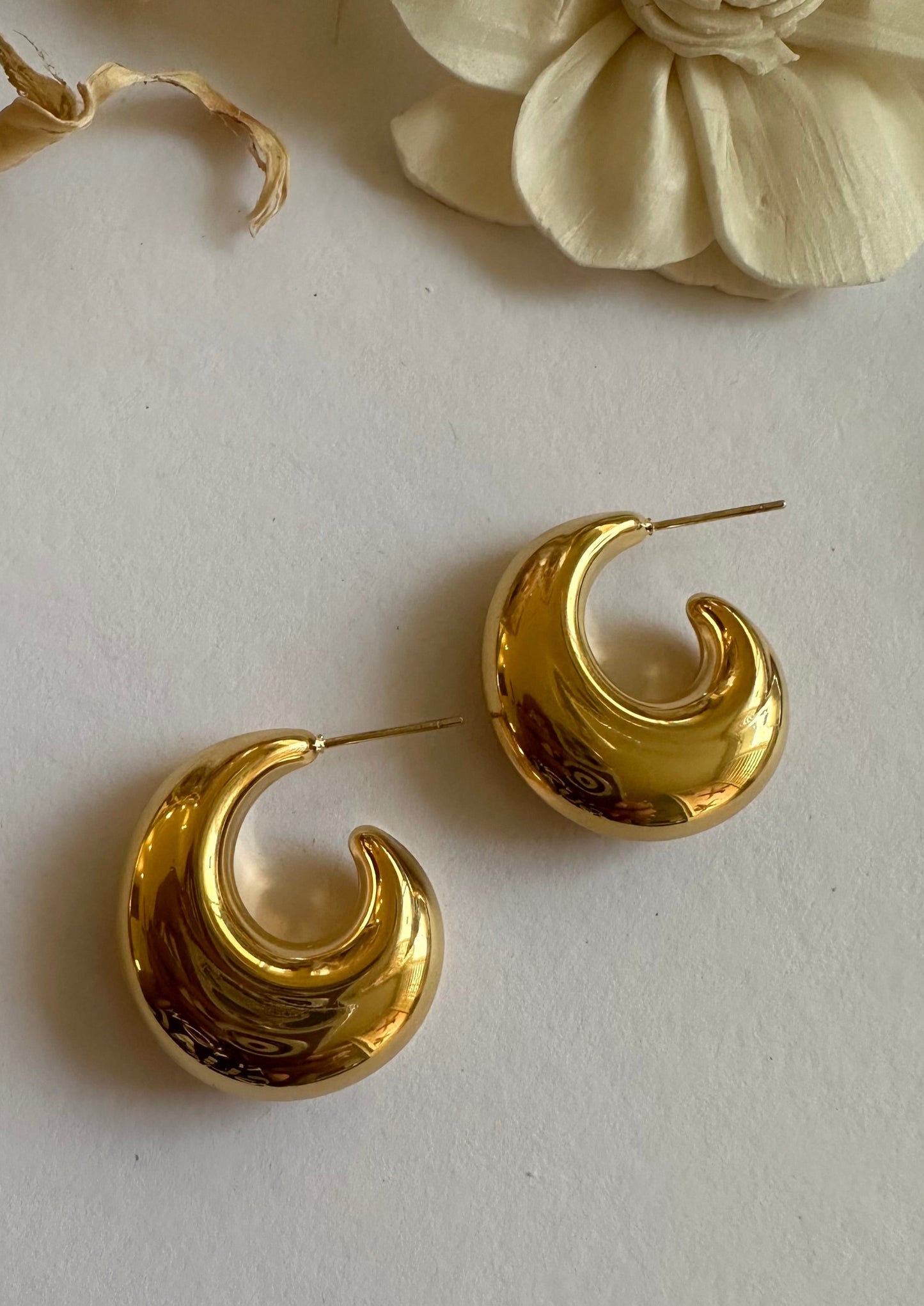 Katiria Steel Hoops Earrings- S006