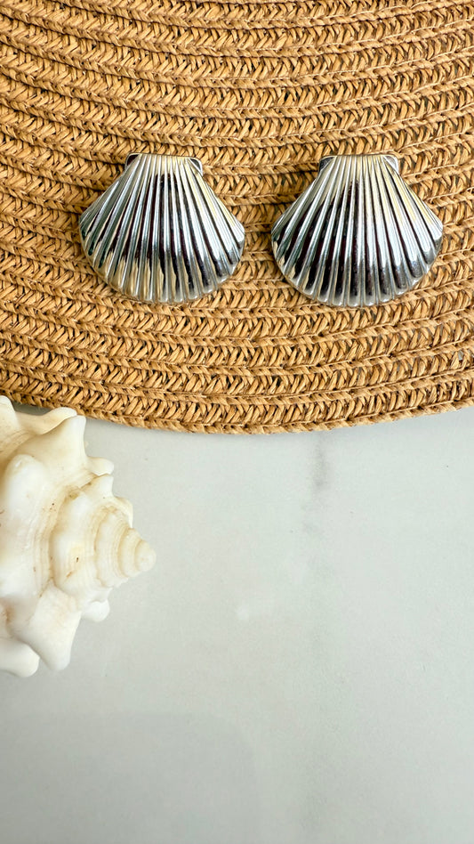 Seashell Steel Earrings