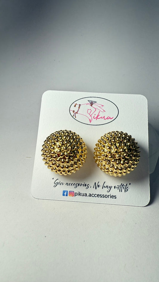 Elegance Steel Earrings- S707