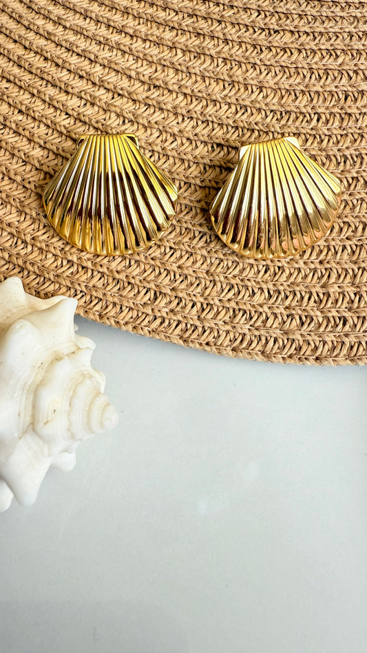 Seashell Steel Earrings