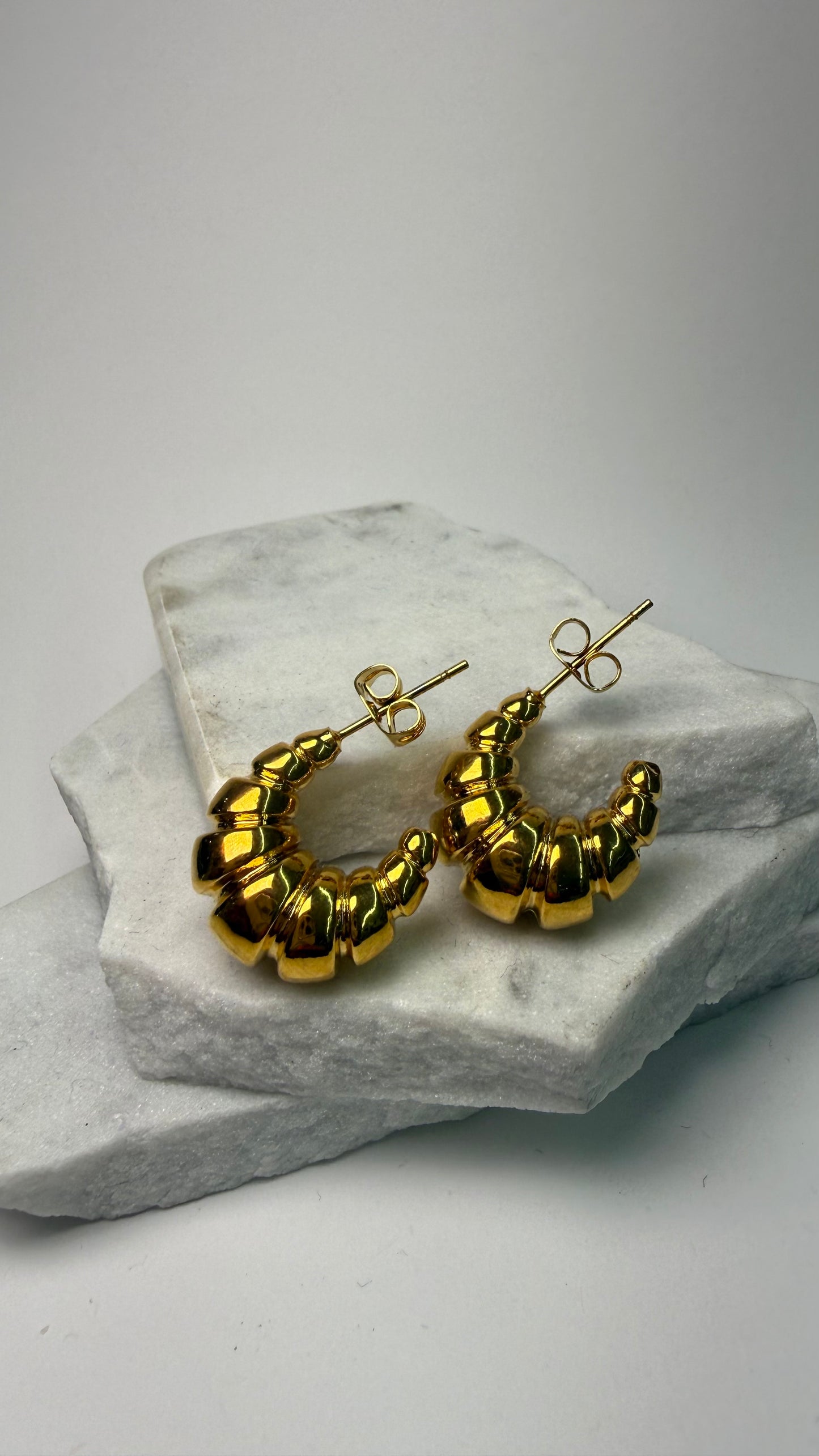 Chic Steel Earrings- S11
