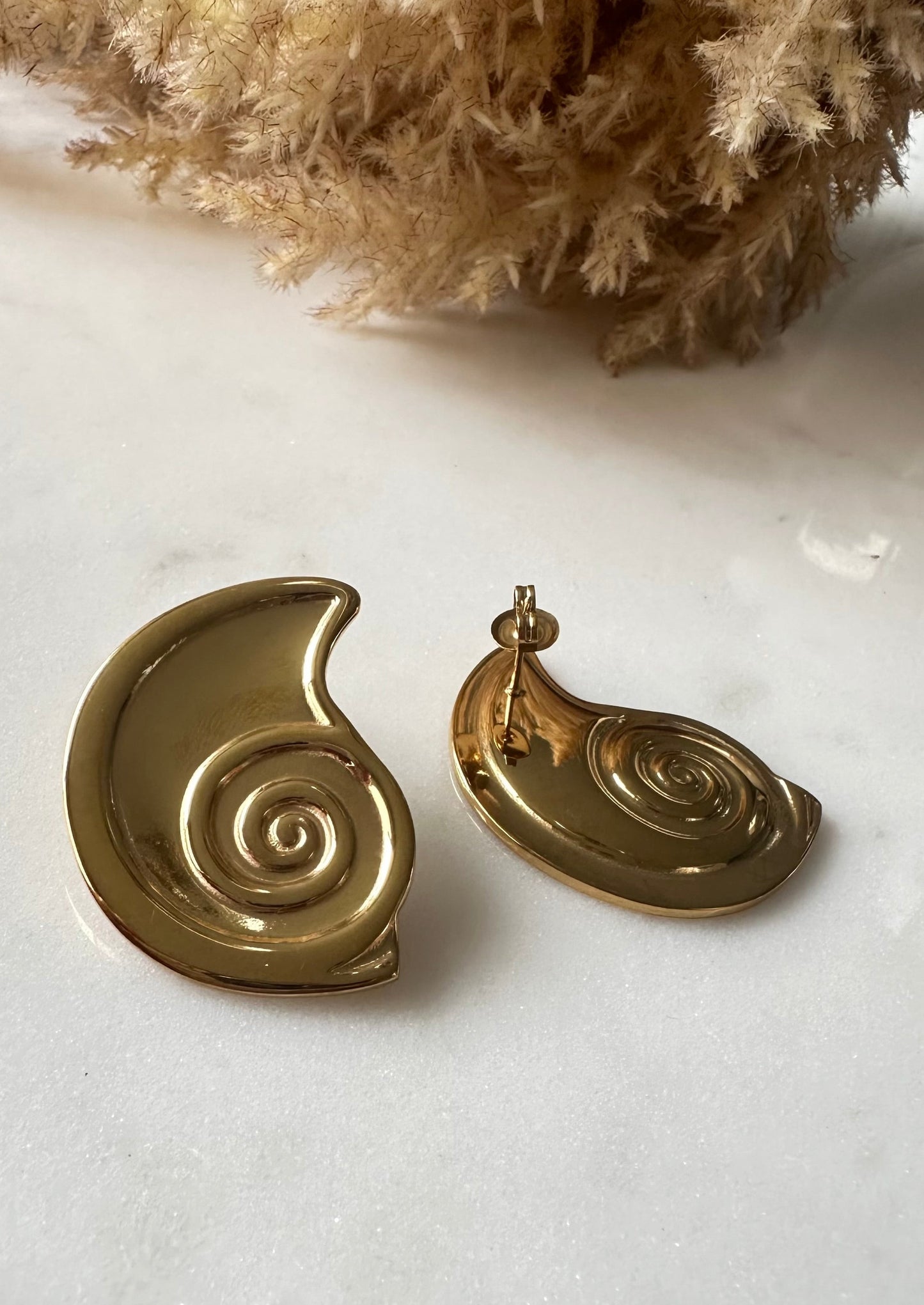 Snail Steel Earrings-S261