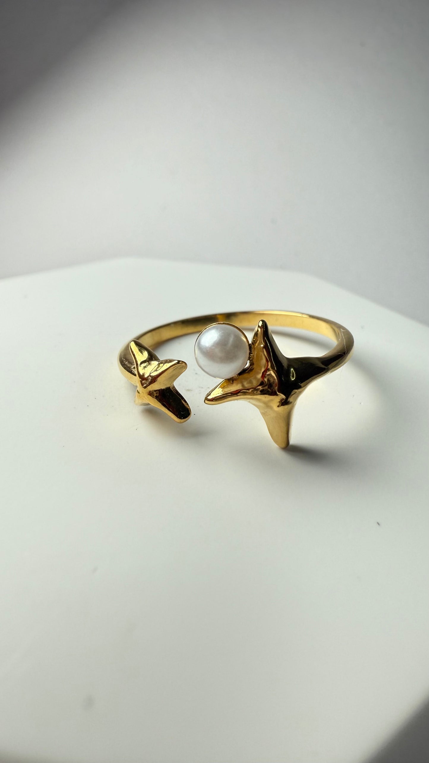 Assorted Adjustable Steel Ring- S006