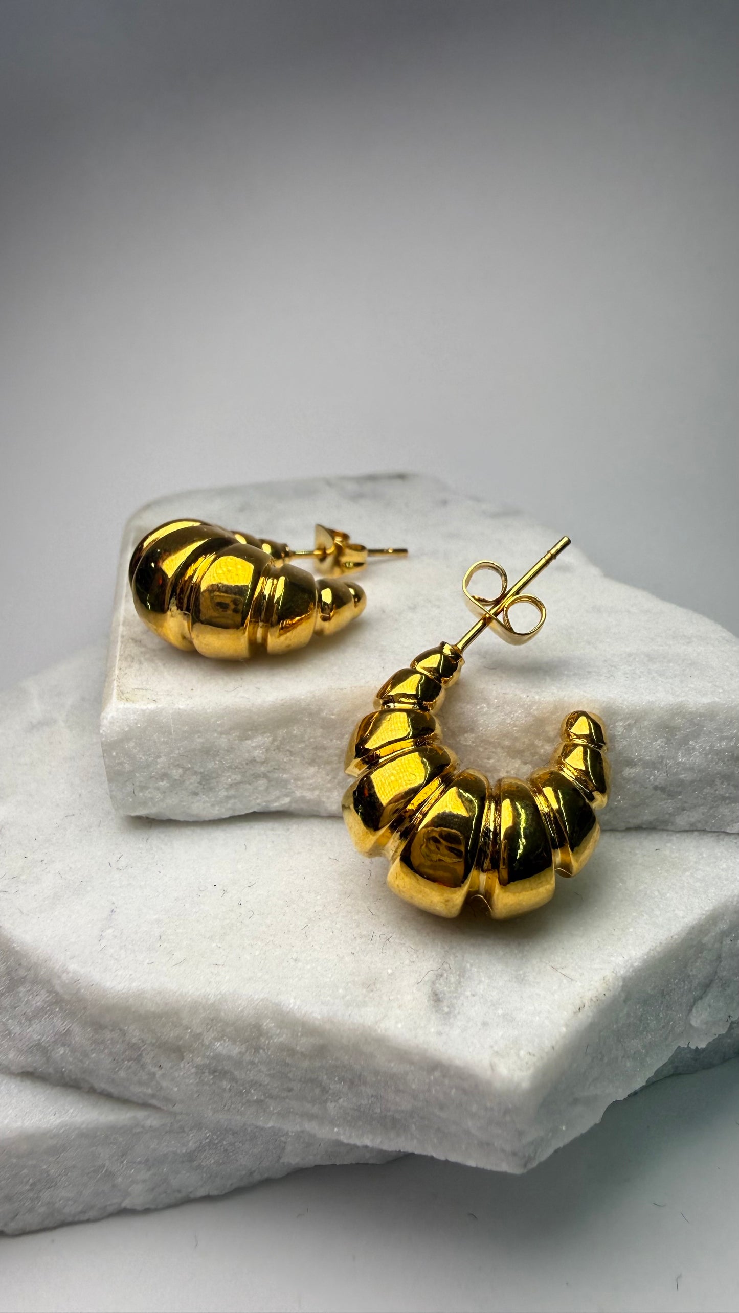 Chic Steel Earrings- S11