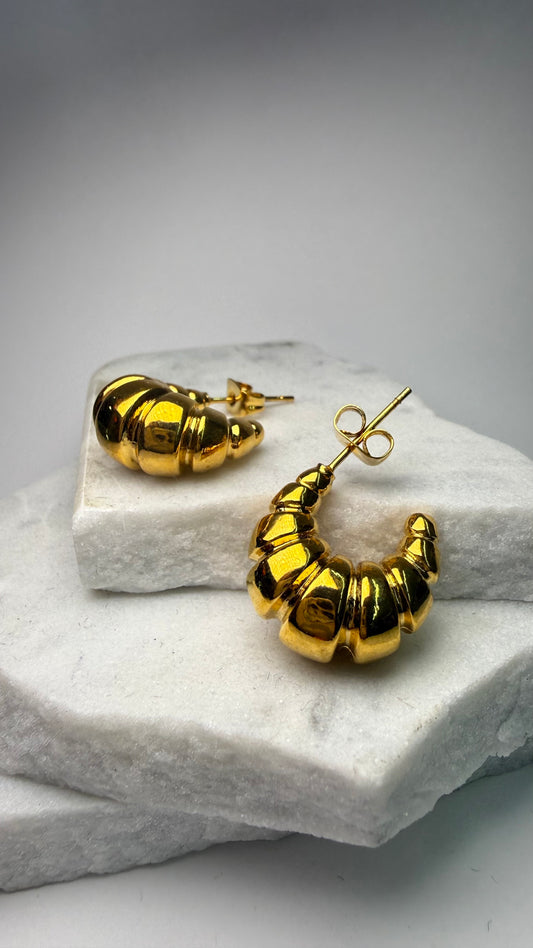 Chic Steel Earrings- S11