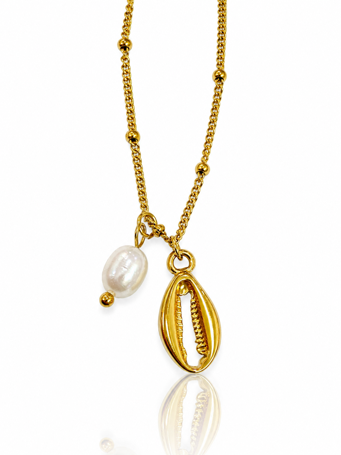 Steel Necklace- S73